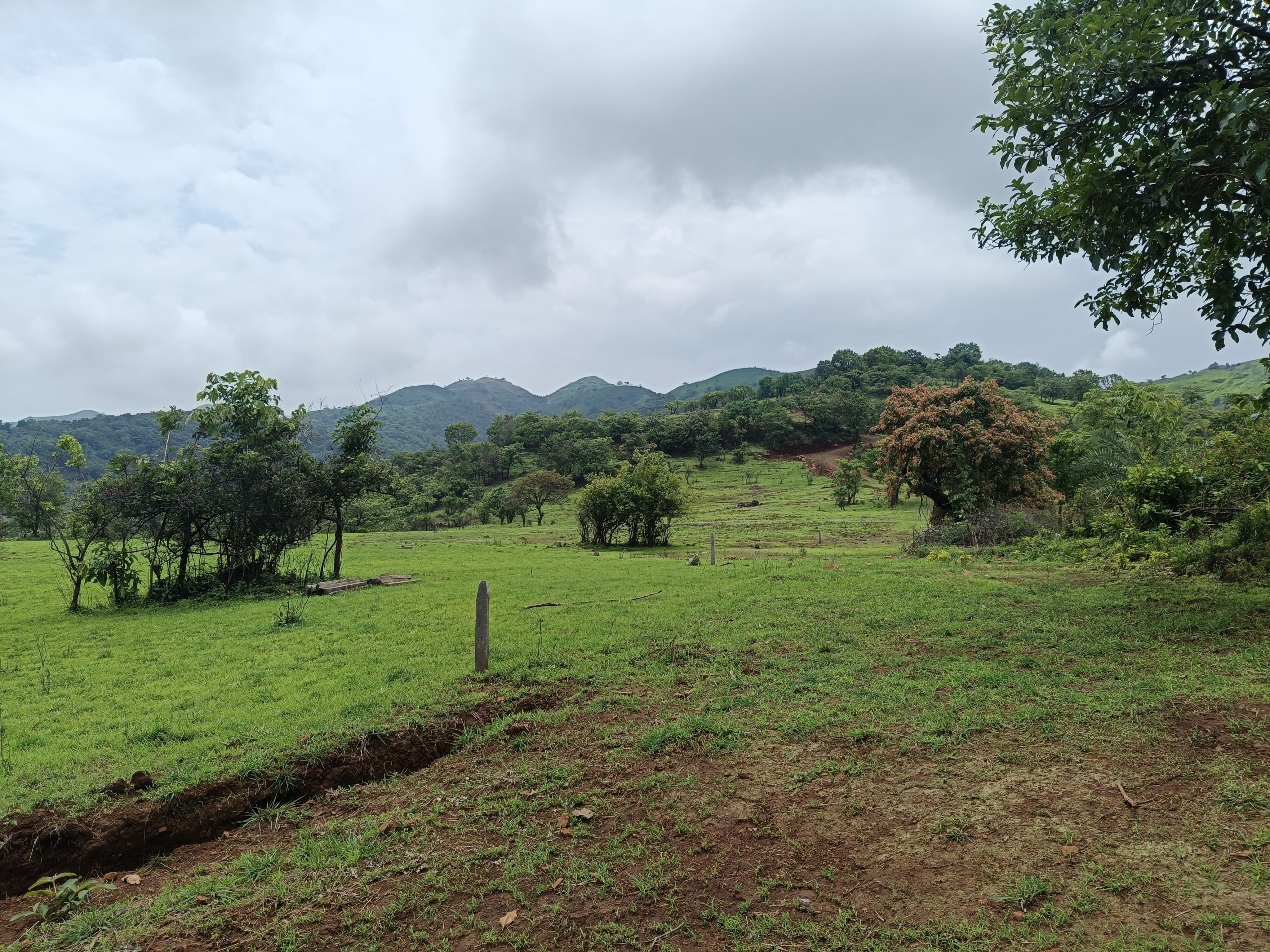 Emerald Ridge dam-view plot